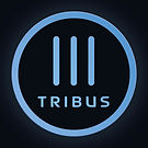 6a650e827f0d5fe01b37eafa78aad9dcfc0612db